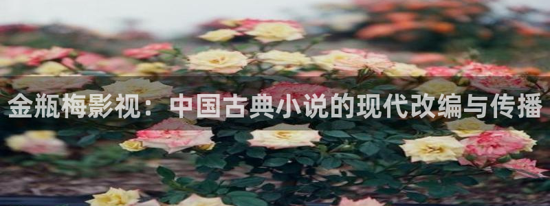 琪琪午夜伦理影院电影在线：金瓶梅影视：中国古典小说的现代改编与传播