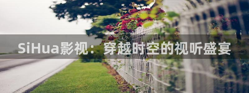 伦理视频：SiHua影视：穿越时空的视听盛宴