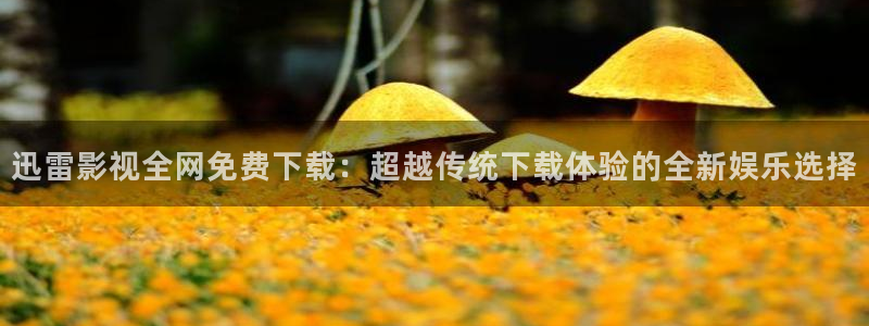 理论伦理影院：迅雷影视全网免费下载：超越传统下载体验的全新娱乐选择