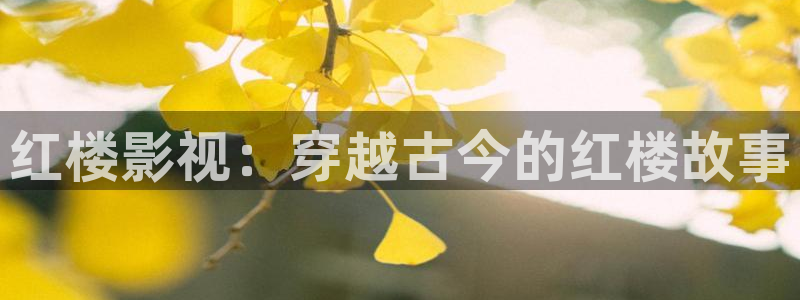 免费伦理视频：红楼影视：穿越古今的红楼故事